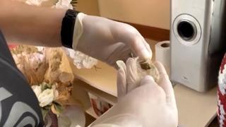 Kristal istilası Türkiye'de de görüldü: 601 kişide tespit edildi! 