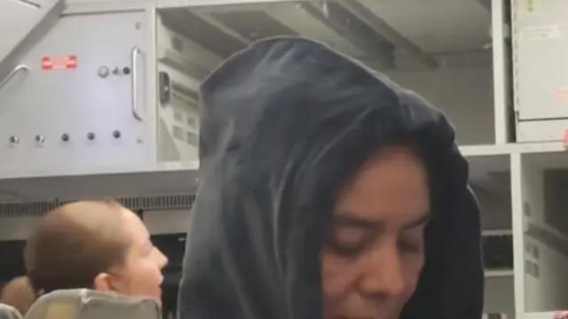 Havada kabus dolu anlar! Yolcu uçağı yüzlerce sivrisinek tarafından işgal edildi... Sosyal medyada gündem yarattı