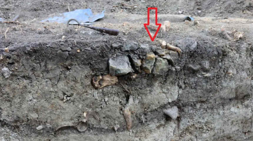 Bahçe tadilatı için gelmişlerdi! Onlarca çocuğun cansız bedenini buldular... "Vampir karşıtı cenaze töreni" bulguları: Kafaları kesildi, yüzüstü taşlarla bastırarak gömüldüler