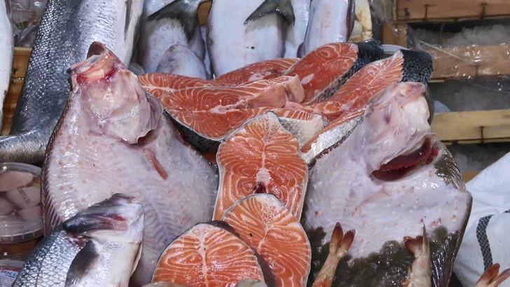 'Bu sene fiyatlar düşecek' Bolluk var, çeşit de artıyor! Balıkçılar 1 ay sonrasını işaret etti: "Kimse merak etmesin" G4