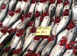 'Bu sene fiyatlar düşecek' Bolluk var, çeşit de artıyor! Balıkçılar 1 ay sonrasını işaret etti: "Kimse merak etmesin"