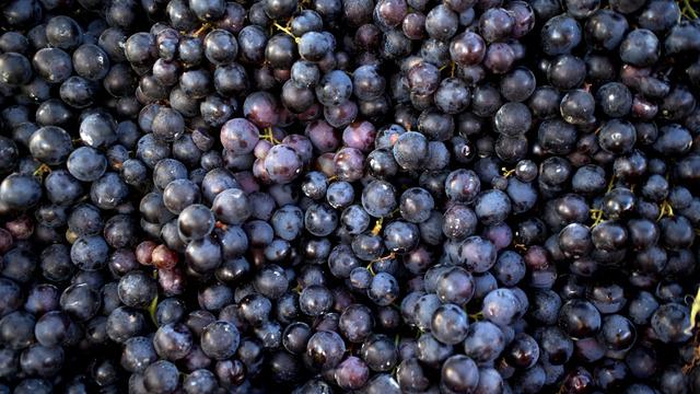 Hardaliye nedir, nasıl yapılır, faydaları nelerdir?