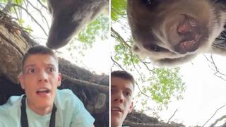 Ayının mağarasına gizlice girmeye çalışırken suçüstü yakalandı! Bir anda karşısında görünce ne yapacağını şaşırdı... Nefes bile alamazdım