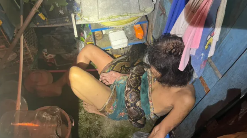 Korku dolu anlar! Evinin mutfağında 4 metrelik pitonun saldırısına uğradı... Belinden kavrayıp saatlerce ısırdı... "Hayatımda hiç bu kadar korkmamıştım"