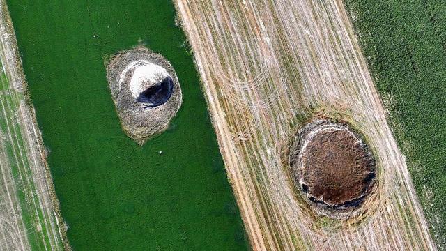 16 il için tehlike çanları! Artış gösterdi, giderek yayılıyor... Şehirlerden peş peşe haberler geldi