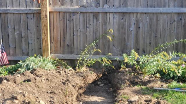 Eğlenmek için bahçesini metal dedektörüyle aradı! Gördüklerine inanamadı... Bahçesinden insan kalıntıları çıktı: Korkunç bir şeyle karşılaştım