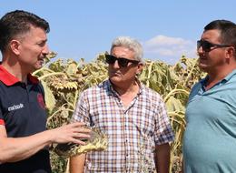 'Duyduğumuz rakam 78 bin TL! Çok iyi' Bebek gibi bakıyorlar... Çabanın sonucundan umutlular 'Hırs yapıyoruz'