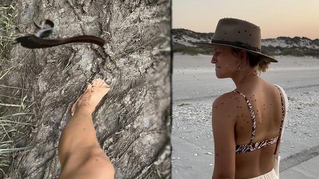 Tatilleri Jurassic World filmini aratmadı! Kamp yapmak için çıktıkları yolda başlarına gelmeyen kalmadı