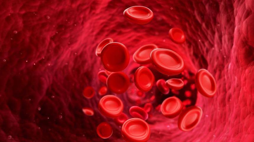Kan tahlilinde hemoglobin nedir, düşükse ne olur?