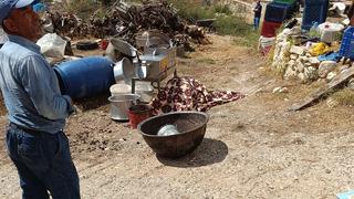 Mersin’de ‘Pekmeze toz karışacak’ kavgası kanlı bitti