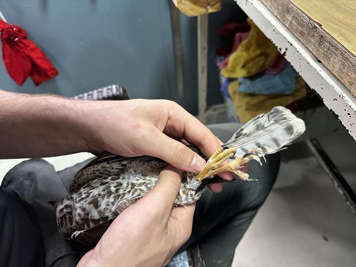 Belçikalı uzmanlar Iğdır'a gelip tek tek inceledi! "Daha önce görmediğim türler açısından önemli bir yer" G2