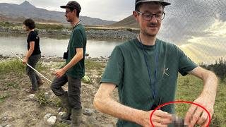 Belçikalı uzmanlar Iğdır'a gelip tek tek inceledi! Daha önce görmediğim türler açısından önemli bir yer