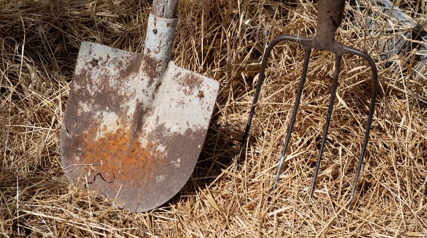 Dirgen nedir? Dirgen ne işe yarar, nerede kullanılır?