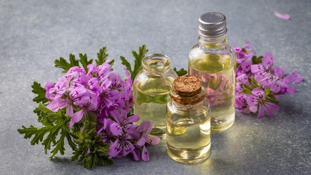 Itır çiçeği nasıl yetiştirilir, bakımı nasıl yapılır? Itır çiçeği bakımı, özellikleri ve faydaları