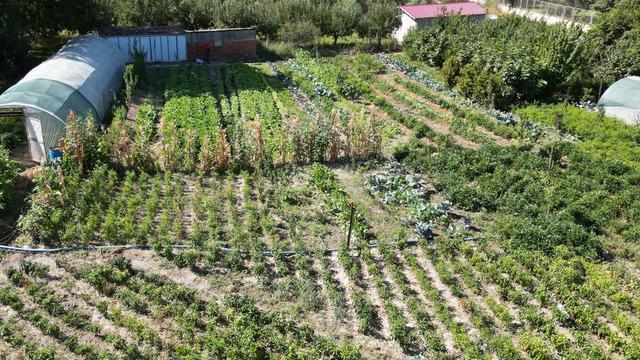 'Bundan sonra böyle şeylere rastlarsak yadırgamayalım' deyip uyardı! 'Birçoğu yok olacak! Yenileri ortaya çıkacak'