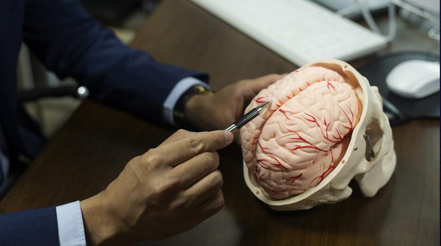 Bilim insanları keşfetti! Araştırmayla ortaya çıktı: Erkeklerin beyni belli bir saatte küçülüyor