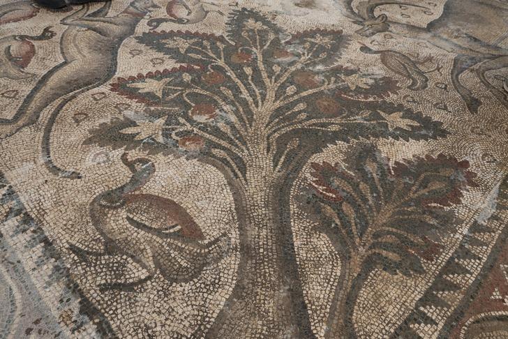 Zamanında 120 bin TL'ye aldı... Şimdi paha biçilemiyor! Türkiye'de ilk kez bulundu... O günden sonra hayatı değişti: "O zamandan beri sahadayım"  G3