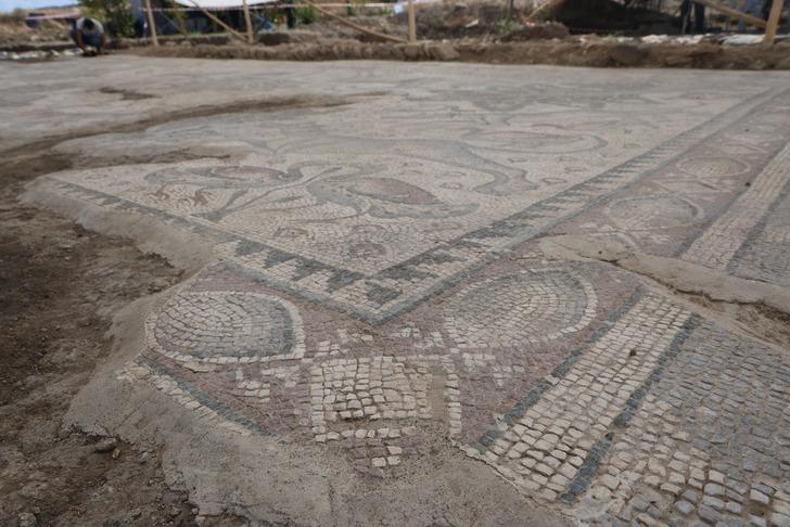 Zamanında 120 bin TL'ye aldı... Şimdi paha biçilemiyor! Türkiye'de ilk kez bulundu... O günden sonra hayatı değişti: "O zamandan beri sahadayım"  G5