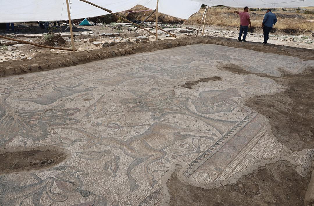 Zamanında 120 bin TL'ye aldı... Şimdi paha bi&ccedil;ilemiyor! T&uuml;rkiye'de ilk kez bulundu... O g&uuml;nden sonra hayatı değişti: "O zamandan beri sahadayım" 