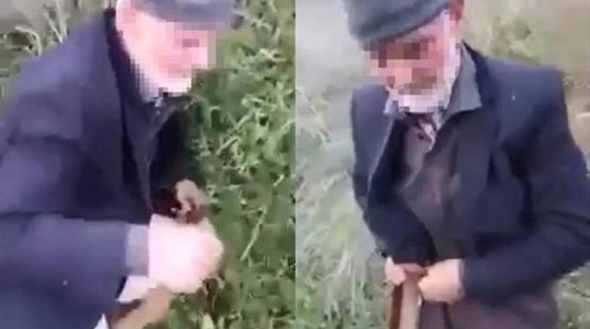 K&ouml;peğe tecav&uuml;z eden yaşlı adamla ilgili yeni gelişme! G&ouml;zaltına alındı