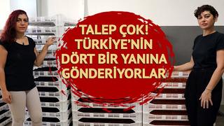 Yöneticilik yaptı, memlekete döndü! İhtiyacı fark edip harekete geçti... Her yere sipariş gönderiyor