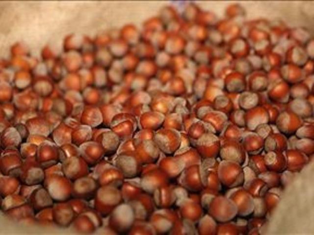 T&uuml;rkiye fındık ihracatından 5 ayda yaklaşık 1,2 milyar dolar gelir sağladı