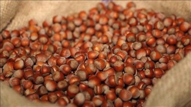 Türkiye fındık ihracatından 5 ayda yaklaşık 1,2 milyar dolar gelir sağladı