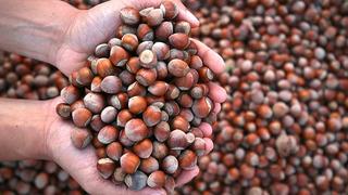 Rekabet Kurumu Başkanı Küle uyardı: Fındık sektöründe bozucu uygulamalar radarda!  