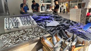 Karadeniz'de palamut bolluğu var! Fiyatı düştükçe düşüyor