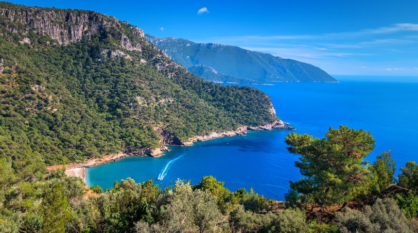 Resmi Gazete'den ormanlar için karar! Turizm amaçlı tahsis edilebilecekler