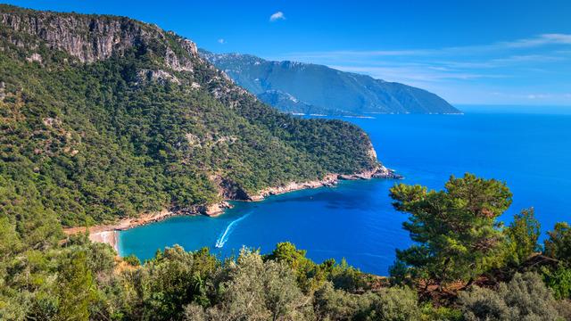 Resmi Gazete'den ormanlar için karar! Turizm amaçlı tahsis edilebilecekler