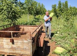 10 dönüme ekti... Para etmeyince arayışa girdi! Bir ilki başardı