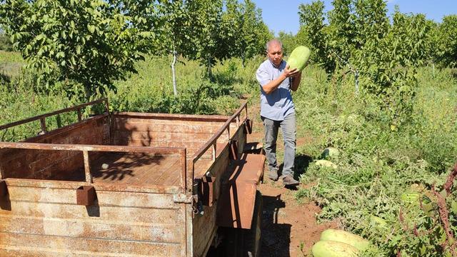 10 dönüme ekti... Para etmeyince arayışa girdi! Bir ilki başardı