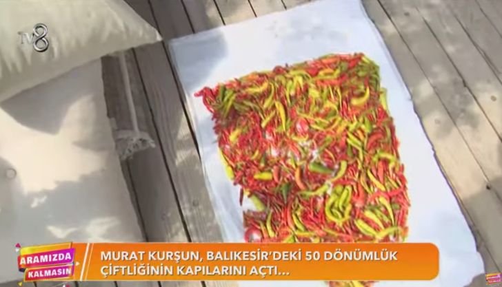 Murat Kurşun Balıkesir'deki 50 dönümlük çiftliği... Ne bulsa ekiyor, yok yok... G4