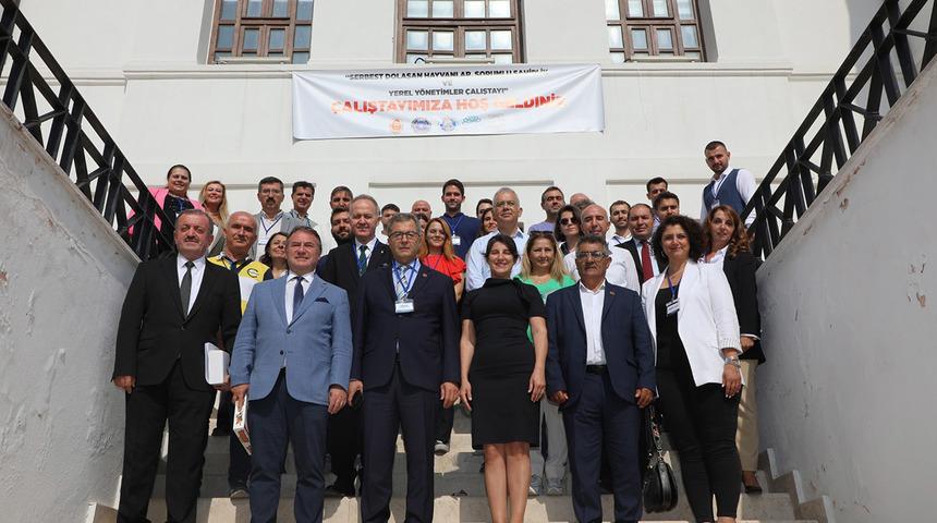 Belediye Başkanı duyurdu: "Sokak hayvanlarını toplamayacağız"