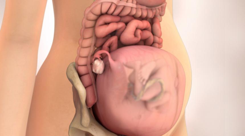 Hamileliğin ilk üç ayına dikkat! Grip, hamilelikte daha ağır seyrediyor