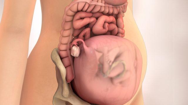 Hamileliğin ilk üç ayına dikkat! Grip, hamilelikte daha ağır seyrediyor