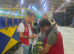 Ukrayna, Moldova, Romanya... Hepsi onları bekliyor! Rekora koşuyorlar