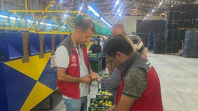 Ukrayna, Moldova, Romanya... Hepsi onları bekliyor! Rekora koşuyorlar