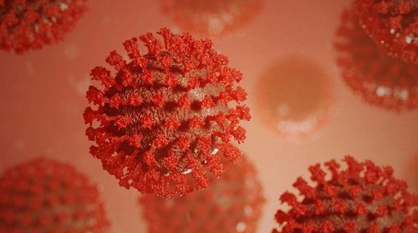 O ülkede virüs paniği! Ölüm oranı yüzde 88 'Temasta bulunmayın'