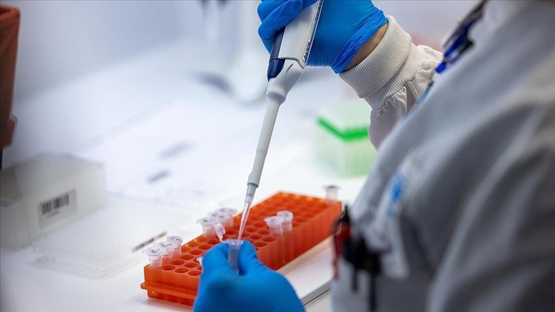 Bu hastalığın tedavisi yok: Marburg virüsü salgını yayılıyor! Ölüm oranı %88 e çıktı! 5