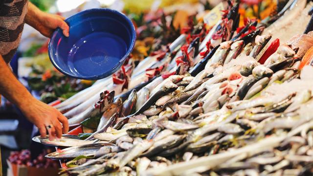 Ekim ayı balıkları nelerdir? Ekim ayında hangi balıklar yenir?