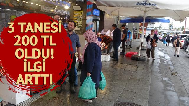 3 tanesi 200 TL oldu! Talep arttı 'Havalar serinleyince satışlar yükseliyor'