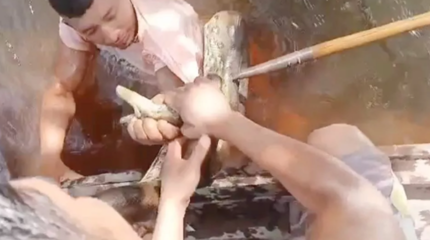 Hayatta kalmak için canla başla mücadele etti! Kendisini ısırmaya çalışan yılandan önce davranıp onu ısırdı