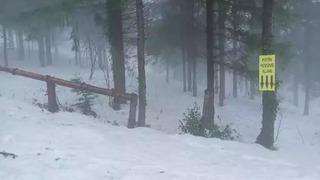 Kartepe'de şambrelle kayarken hayatını kaybetmişti! Tesisin işletmecisine 24 taksitle adli para cezası