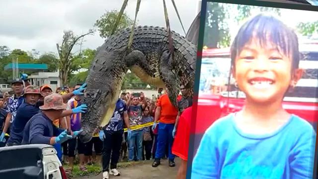 Her yerde 6 yaşındaki çocuğu arıyorlardı! Küçük kızın cansız bedeni timsahın midesinden çıkartıldı... Diş ve kemik kalıntıları...