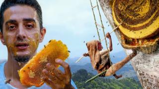 YouTuber Ruhi Çenet, Nepal'in 'Deli bal' hasadına katıldı! 200 gramı 400 dolara (13 bin 689 TL) satılıyor: Tamamen gerçek halüsinasyonlar gösteren bal 