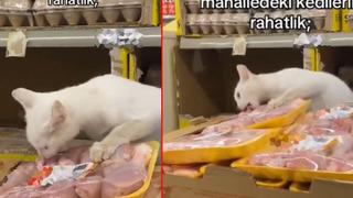 Zincir markette skandal görüntüler! Raflara yerleştirmeyi bekleyen tavukları mahallenin kedisi afiyetle yedi... O anlar sosyal medyada gündem yarattı