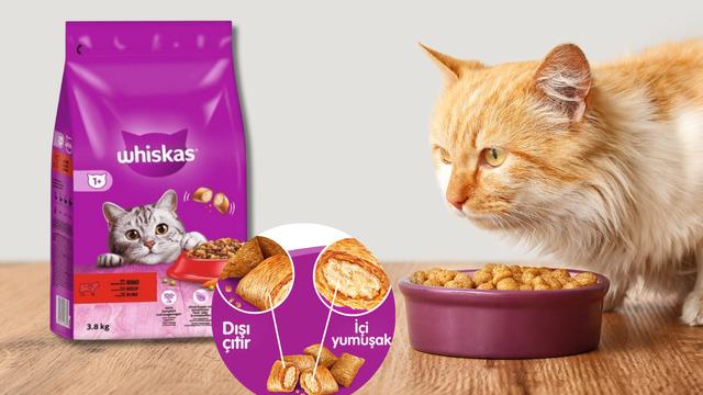 Fiyatı 549 TL'ye düştü! Kedinizin bayılacağı Whiskas mamada %33 indirim