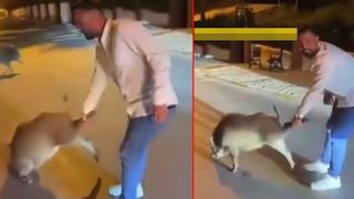 Yer: Kuşadası! Şehir merkezine inen yaban domuzunu eliyle yakaladı... Arka ayaklarından tuttu, yere yatırmaya çalıştı 